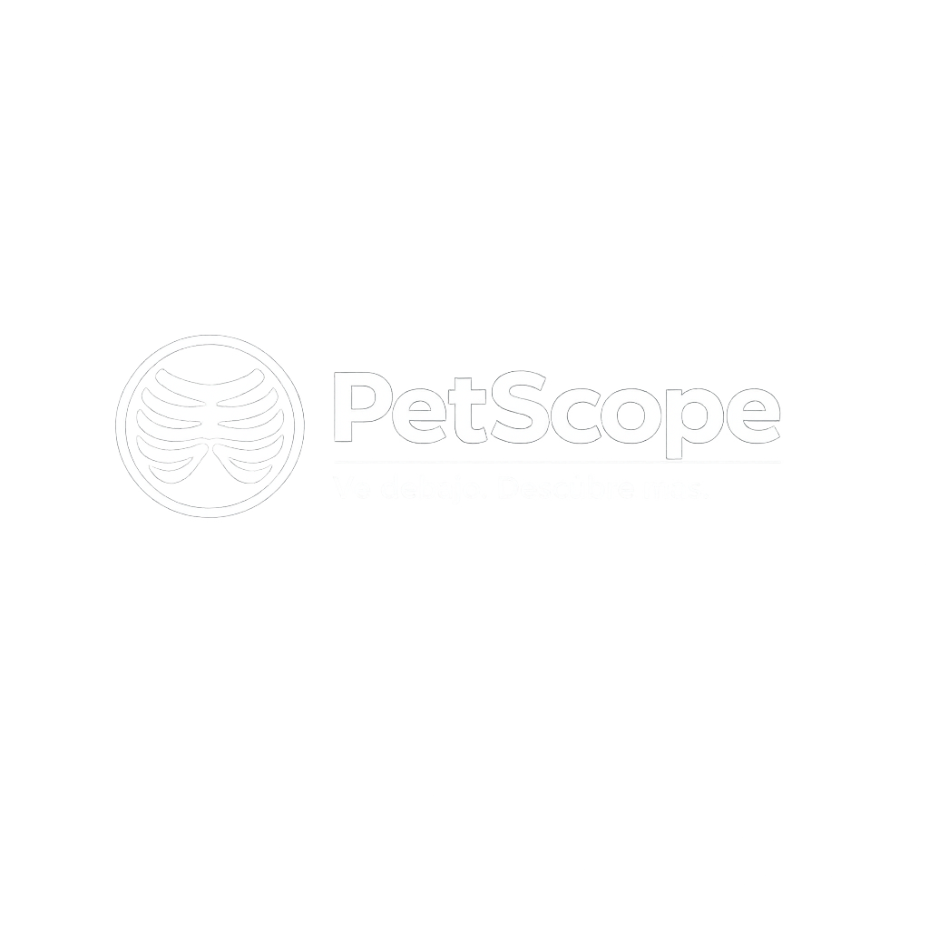 INSIDE THE ANIMAL Logo